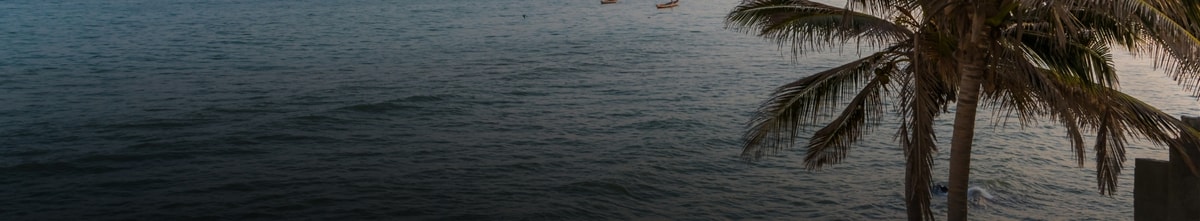 Flights to Gambia