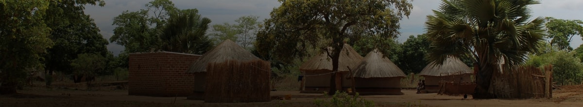 Flights to Zambia